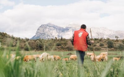 El CAD Mincha d’aquí explica en El País cómo trabaja colectivamente para tener más fuerza y hacer más fácil al consumidor la compra de producto local y sostenible