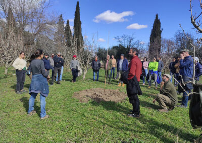 Proyecto CREA. Construyendo Redes Agroecológicas