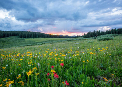 LIFT: Agroecological foodsystem living labs for farm and landscape transformation