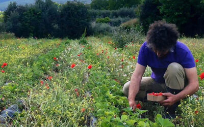 Ni se ven ni son fáciles: tres decisiones clave en la consolidación de los CAD