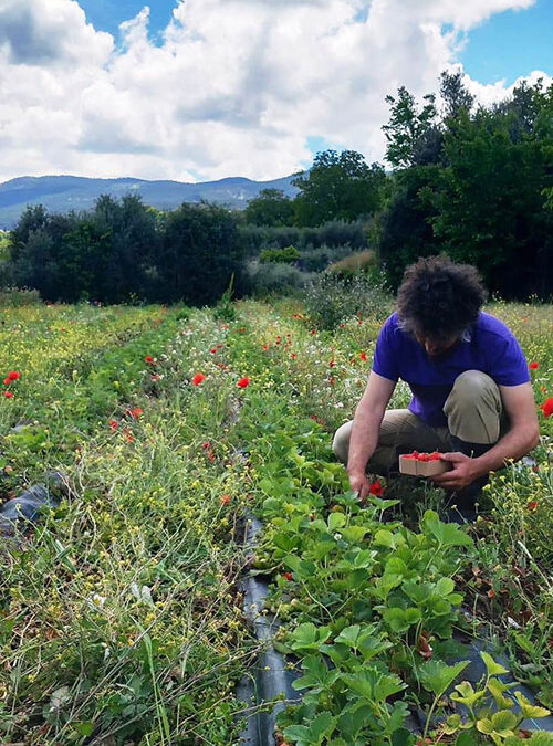 Ni se ven ni son fáciles: tres decisiones clave en la consolidación de los CAD