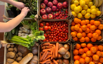 Qué sabemos hoy sobre los Centros Agroecológicos de Distribución en el Estado español